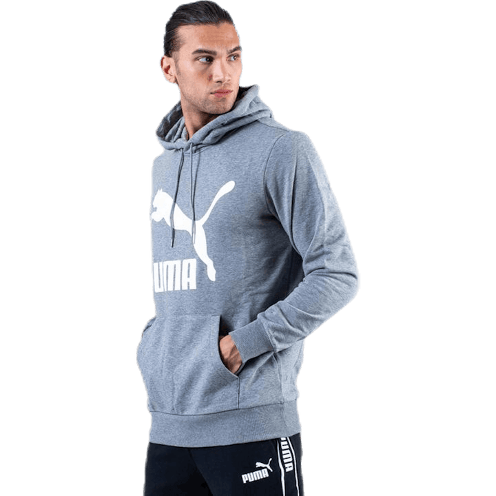 Classics Logo Hoody TR Hall