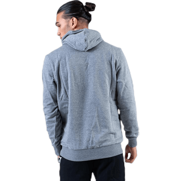 Classics Logo Hoody TR Hall