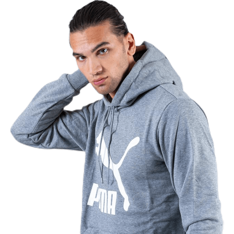 Classics Logo Hoody TR Hall