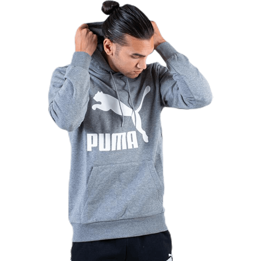Classics Logo Hoody TR Hall