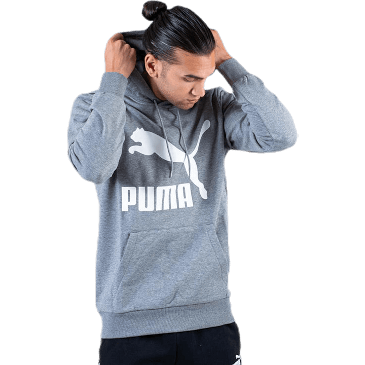 Classics Logo Hoody TR Hall