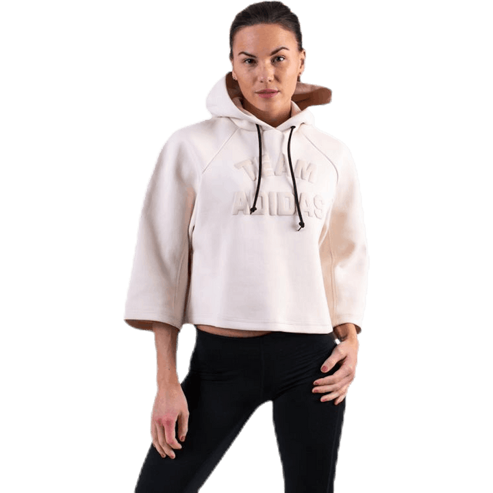 VRCT Hoodie Purple