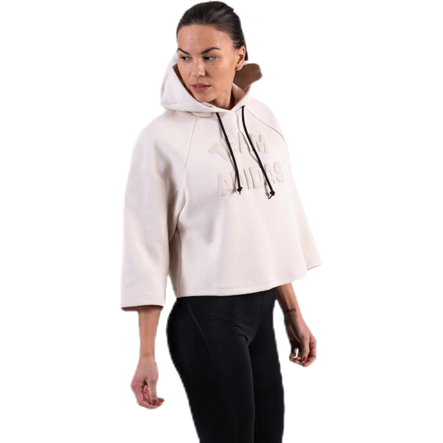 VRCT Hoodie Purple