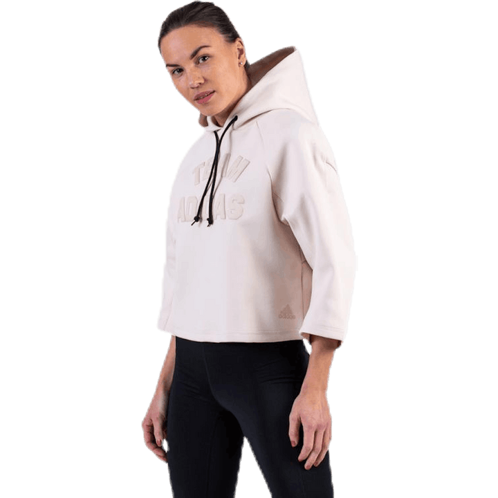 VRCT Hoodie Purple