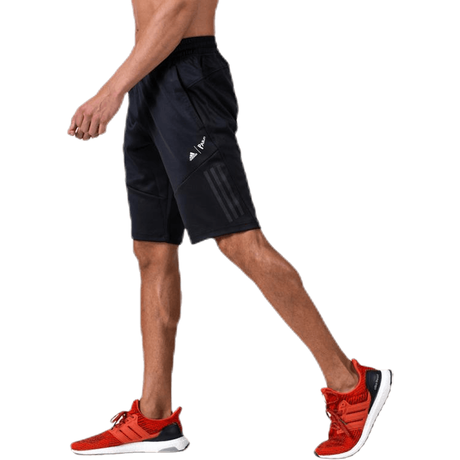 Parley Shorts Black