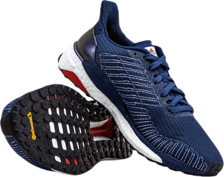 Solar Boost 19 Purple