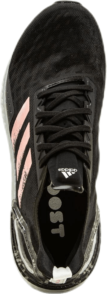 Chaussures Ultraboost PB Noir/Rose éclatant/Blanc nuage