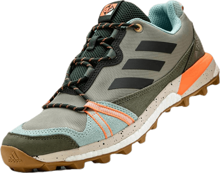 Terrex Skychaser Lt Green/Beige