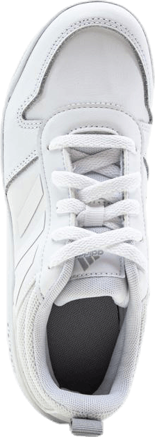 Sapatos Tensaur Branco nuvem / Branco nuvem / Cinzento dois