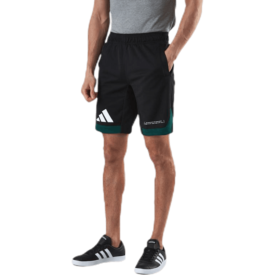 Pack Short Green/Black