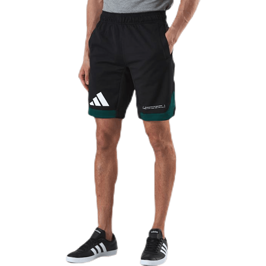 Pack Short Green/Black