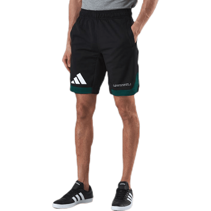 Pack Short Green/Black