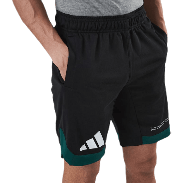 Pack Short Green/Black