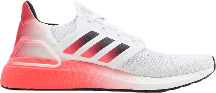 Ultraboost 20 skor Molnvit / Core Black / Signalrosa / Korall