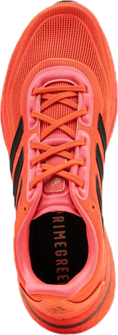 Supernova Pink/Black