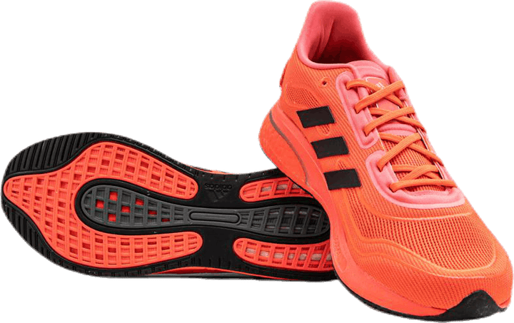 Supernova Pink/Black