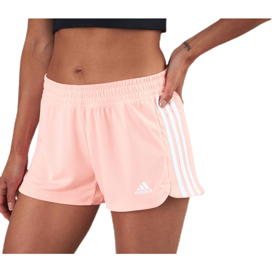 Pacer 3-Stripes Knit Shorts Pink