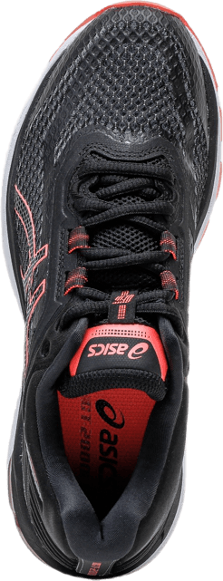 GT-2000 6 Pink/Black