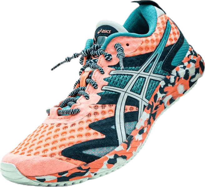 Gel-Noosa Tri 12 Pink/Turquoise