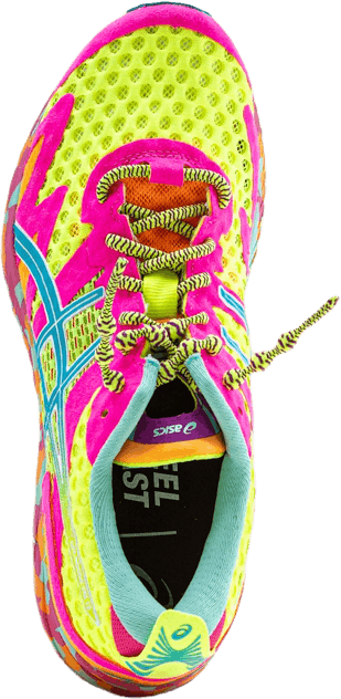Gel-Noosa Tri 12 Blue/Yellow
