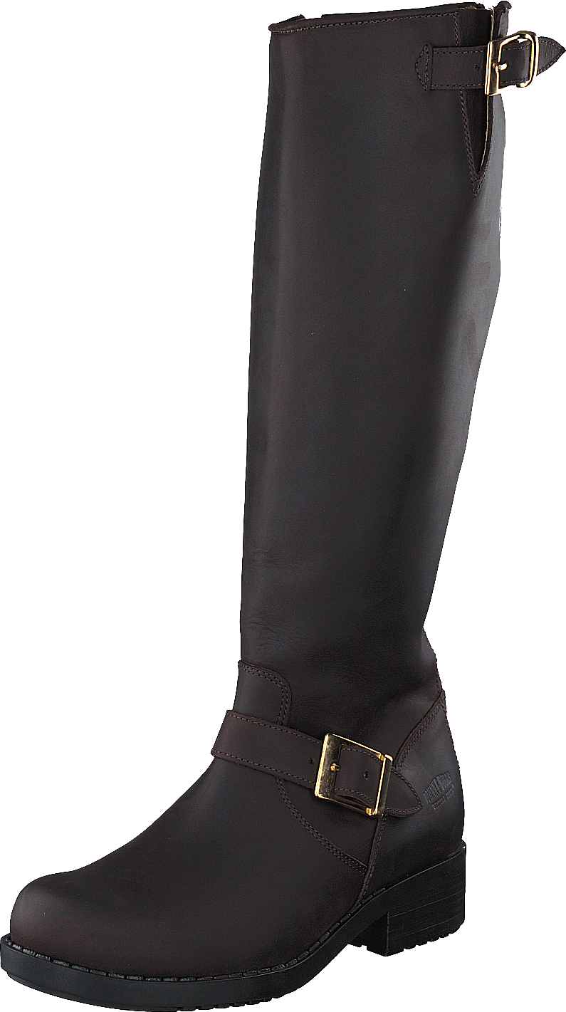 High Zip Back Brown Shiny Gold
