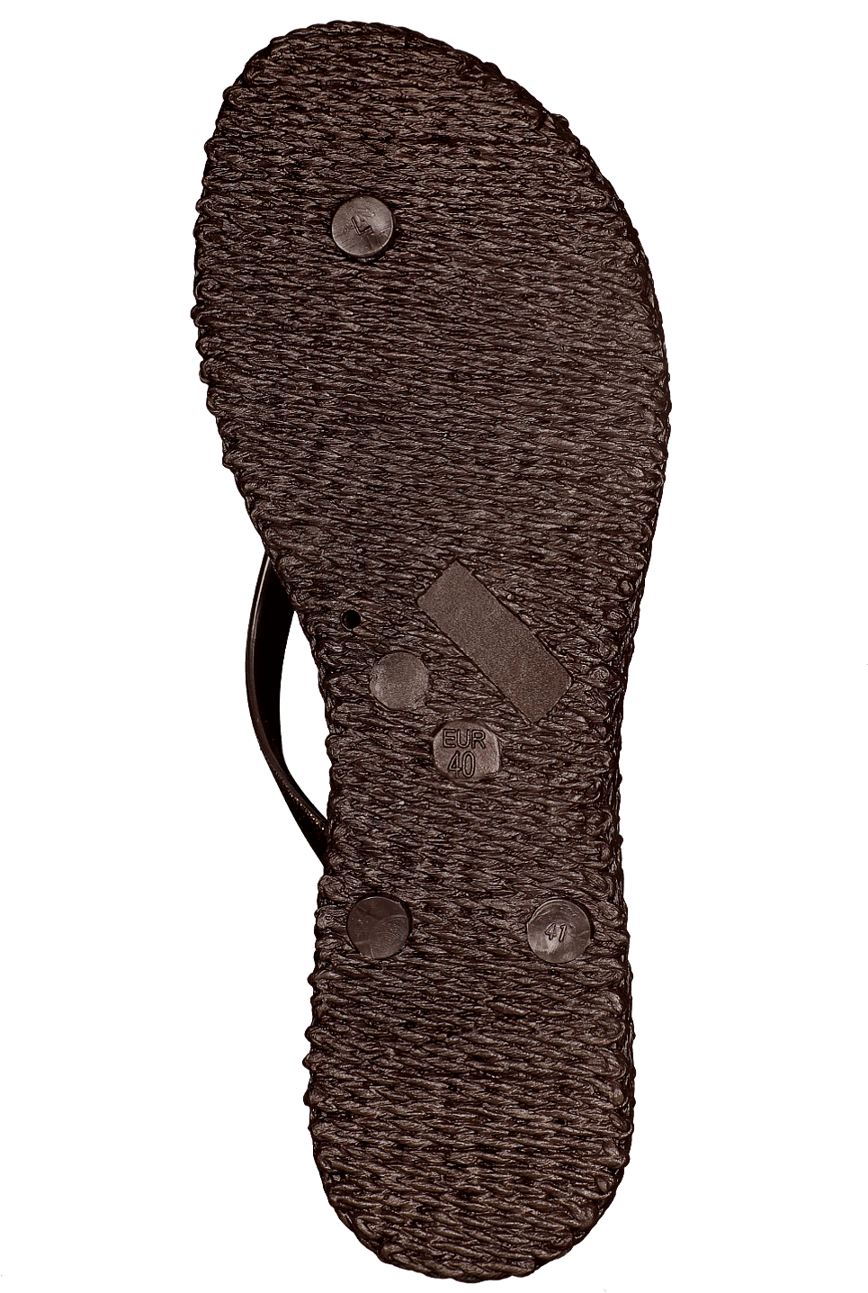 Priecīgs01 Sēne