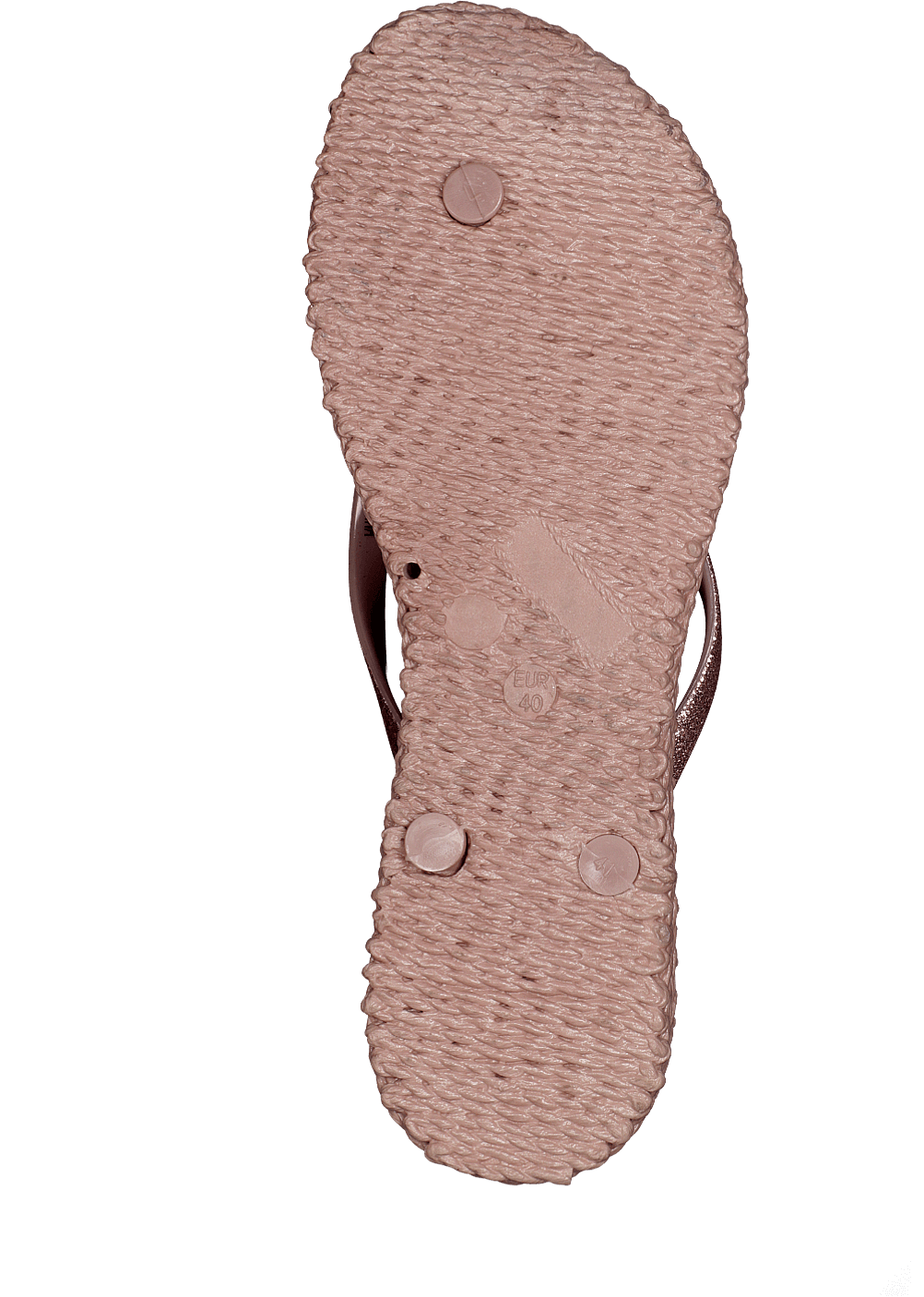 Joyeuse01 Rose brumeuse