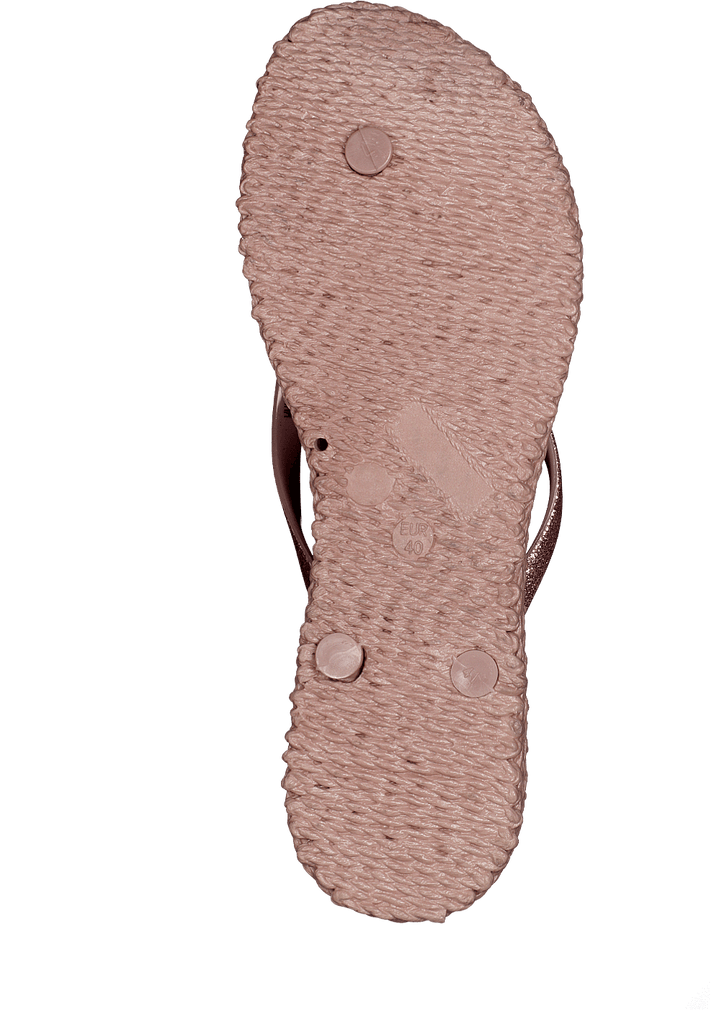 Joyeuse01 Rose brumeuse