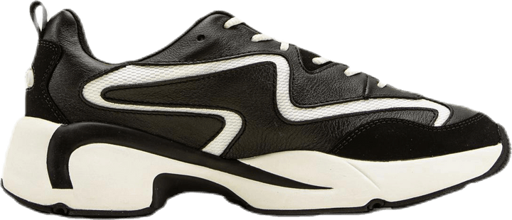 El Indus White/Black