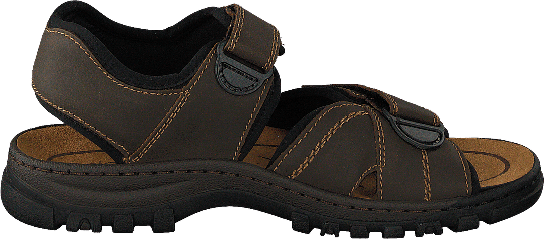 25051-27 Marrone