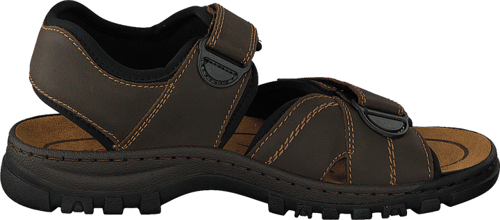 25051-27 Marrone