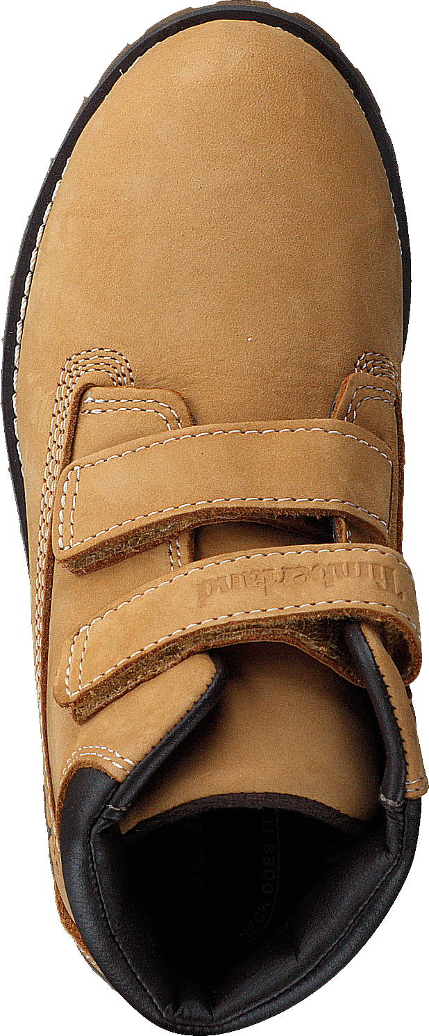 Pokey Pine H L Wheat CA127M Yellow