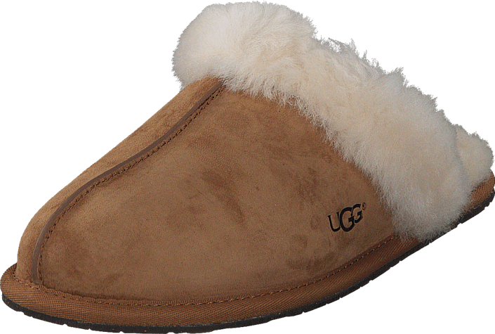 Scuffette II Chestnut