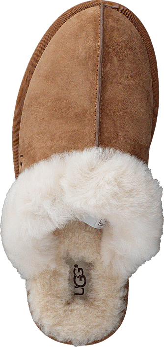 Scuffette II Chestnut