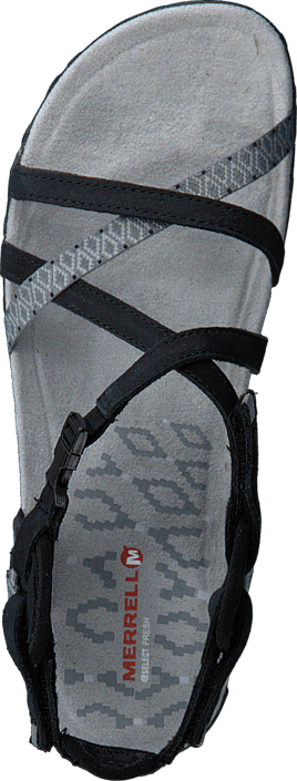 Terran Lattice II Black