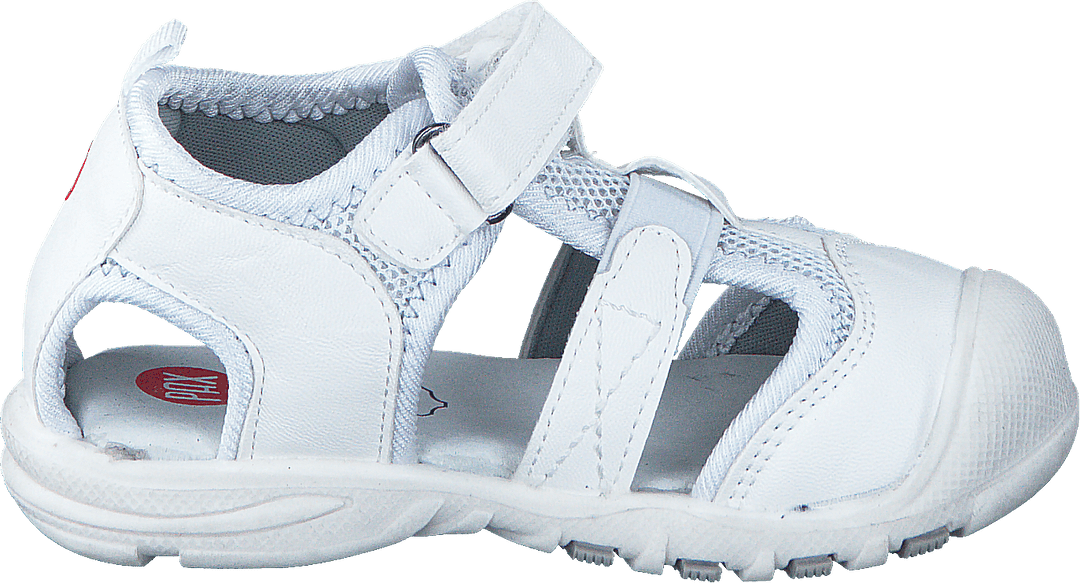 Salt White