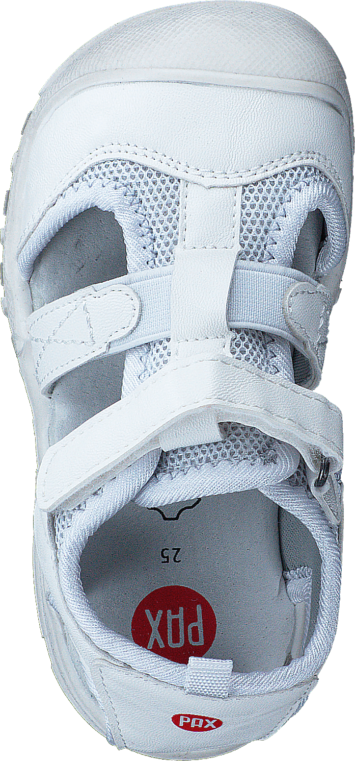 Salt White