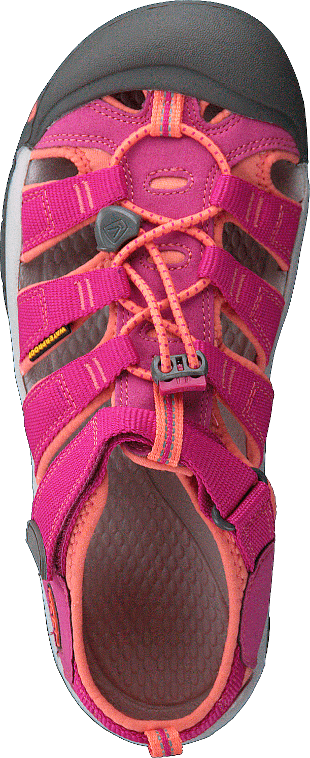 Newport H2-Jr Very Berry/Fusion Coral