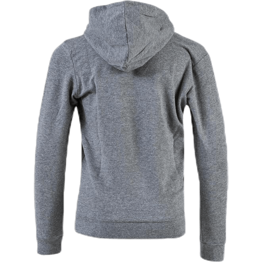 Junior Cuarto Hoodie Grey