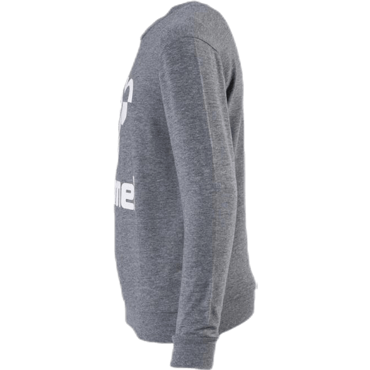 Dos Sweatshirt Youth Grey