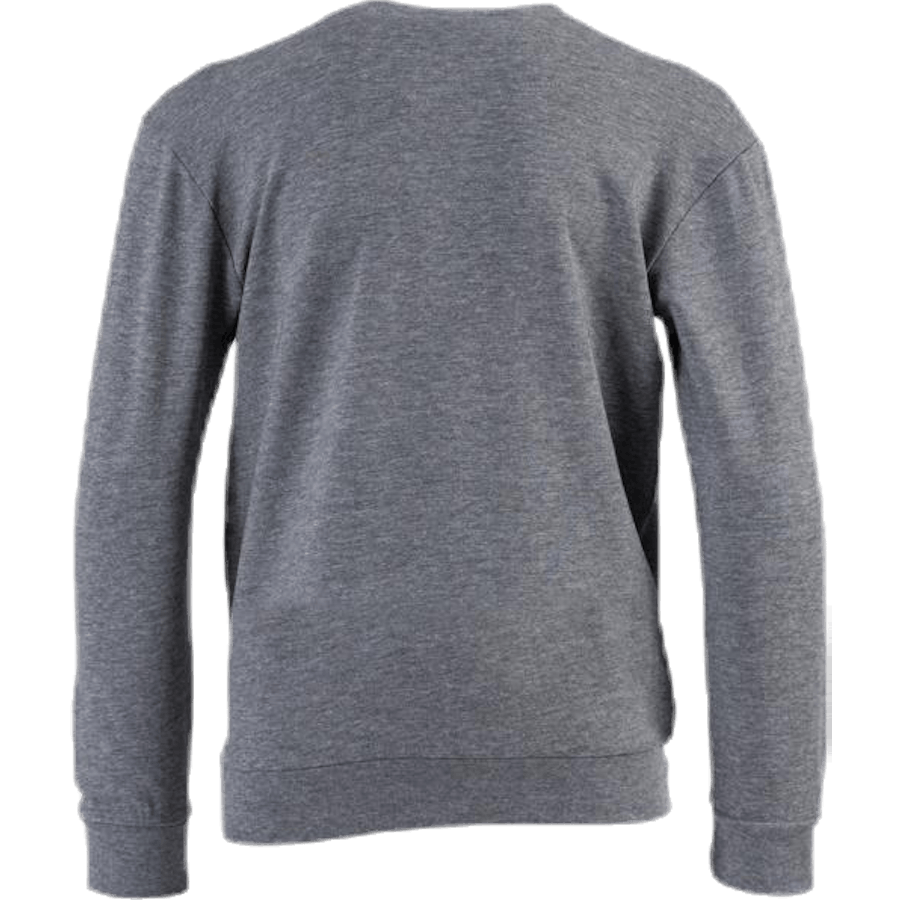 Dos Sweatshirt Youth Grey