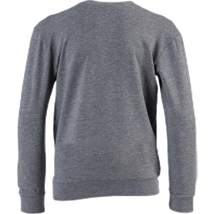 Dos Sweatshirt Youth Grey