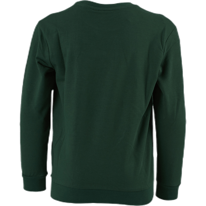 Dos Sweatshirt Youth Green