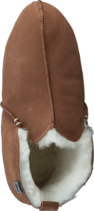 Innsbruck Chestnut