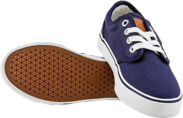 Boston Junior Blue