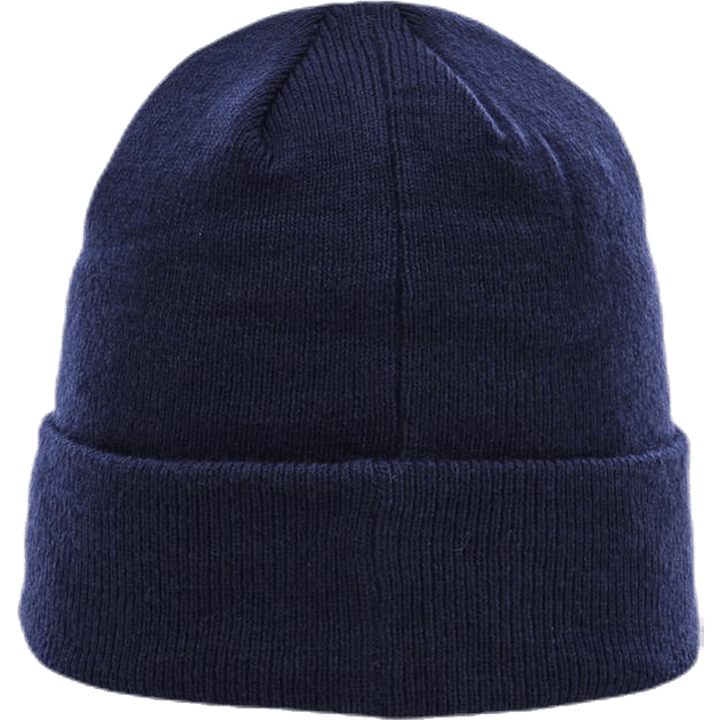 Rexdale Youth Beanie Blue