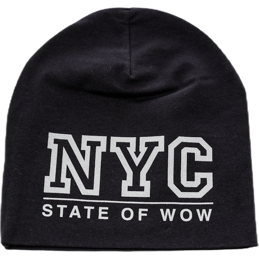 Toronto Reflex 365 Youth Beanie Black