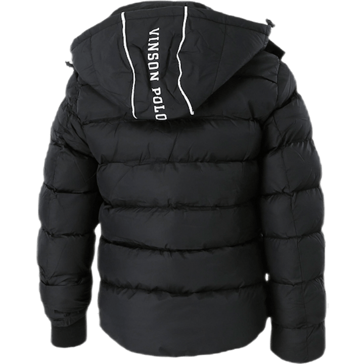 Herastus Jr Black