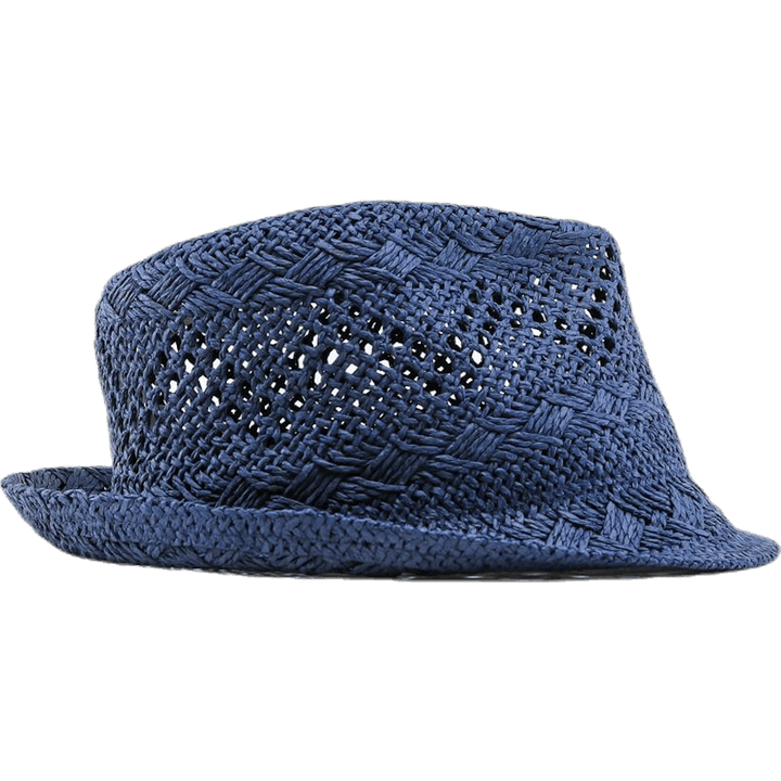 Vasaros atspalvis mėlyna
