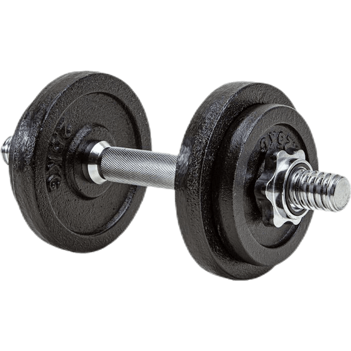 Dumbbell 10 kg set Black